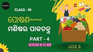 Digestive System | ମଣିଷର ପାକତନ୍ତ୍ର | 10th Class Life Science | Quick Revision📚🎯