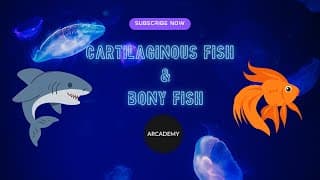 Exploring the Depths: Unveiling the World of Cartilaginous and Bony Fish
