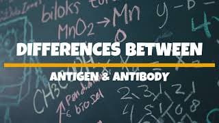 Understanding Antigens and Antibodies: Key Concepts Explained